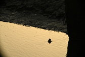 Enlarge photo 357
