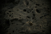 Enlarge photo 359
