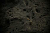 Enlarge photo 360