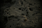 Enlarge photo 361