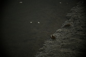 Enlarge photo 365