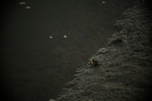 Enlarge photo 366