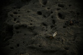 Enlarge photo 368