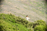 Enlarge photo 371