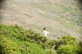 Enlarge photo 372