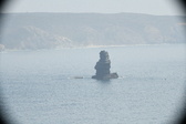 Enlarge photo 378