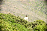 Enlarge photo 379