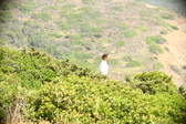 Enlarge photo 396