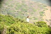 Enlarge photo 397