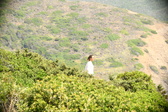 Enlarge photo 398