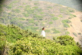 Enlarge photo 399