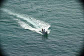 Enlarge photo 439