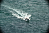 Enlarge photo 441