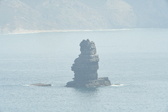 Enlarge photo 442