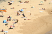 Enlarge photo 448
