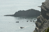 Enlarge photo 453