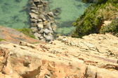 Enlarge photo 460