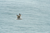 Enlarge photo 471