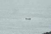 Enlarge photo 480