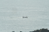Enlarge photo 481
