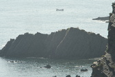 Enlarge photo 482