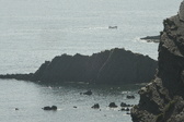 Enlarge photo 483