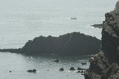 Enlarge photo 485