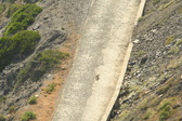 Enlarge photo 491