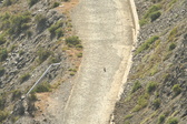 Enlarge photo 493