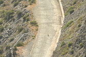 Enlarge photo 494