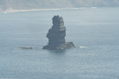 Enlarge photo 497