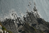 Enlarge photo 37