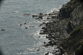 Enlarge photo 43
