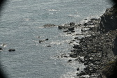 Enlarge photo 45