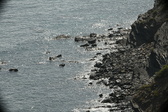 Enlarge photo 46