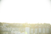 Enlarge photo 64