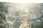 Enlarge photo 66