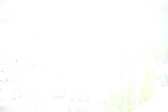Enlarge photo 74