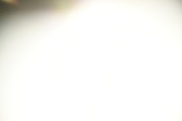 Enlarge photo 80