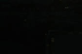 Enlarge photo 81
