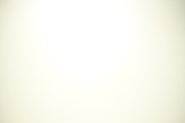 Enlarge photo 87