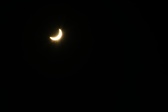 Enlarge photo 95