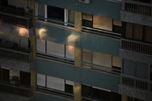 Enlarge photo 105