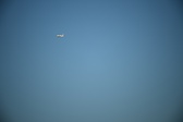 Enlarge photo 117