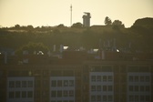 Enlarge photo 131