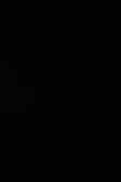 Enlarge photo 138