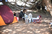 Enlarge photo 139
