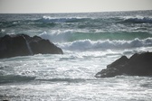 Enlarge photo 146