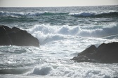 Enlarge photo 147