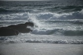 Enlarge photo 150